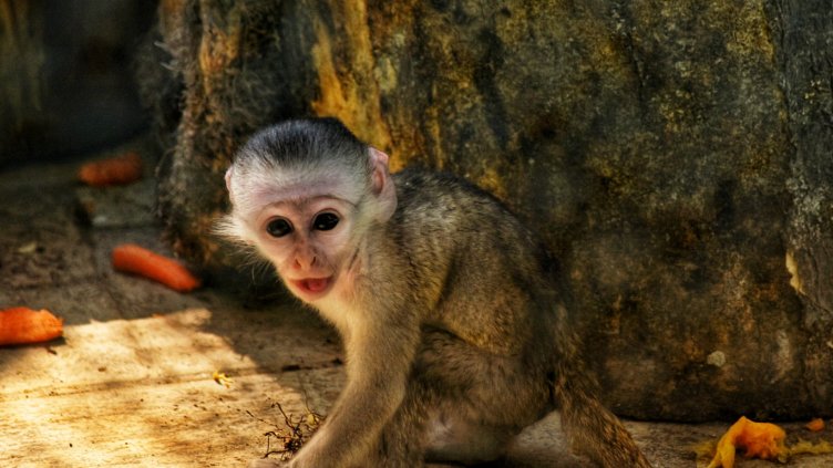 Снимка Пламен Гутинов
