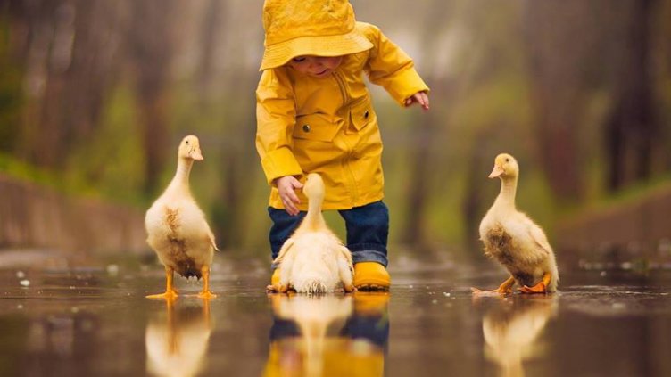 снимка: Jake Olson