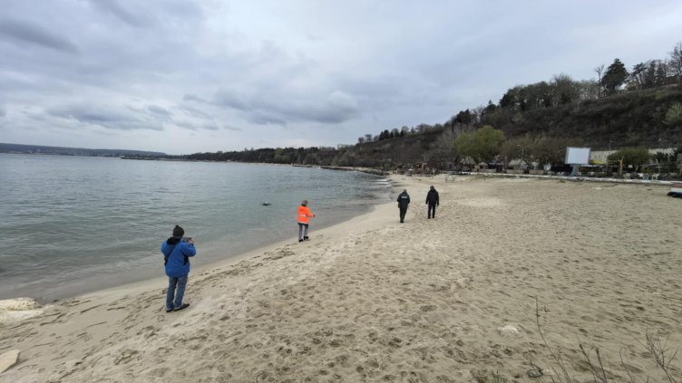 Брегът и морската среда между 2-ра и 3-та буна са чисти от нефта