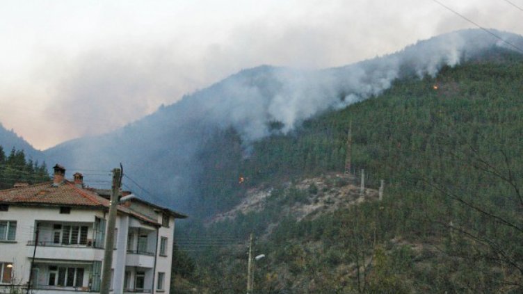 Пожарът край Смолян вече е овладян