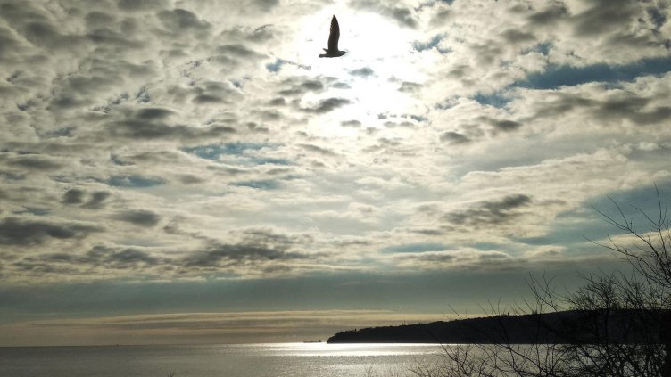 Топла неделя по морето