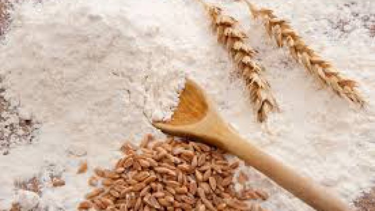 Спешно се търсят 10 тона брашно за бежанците