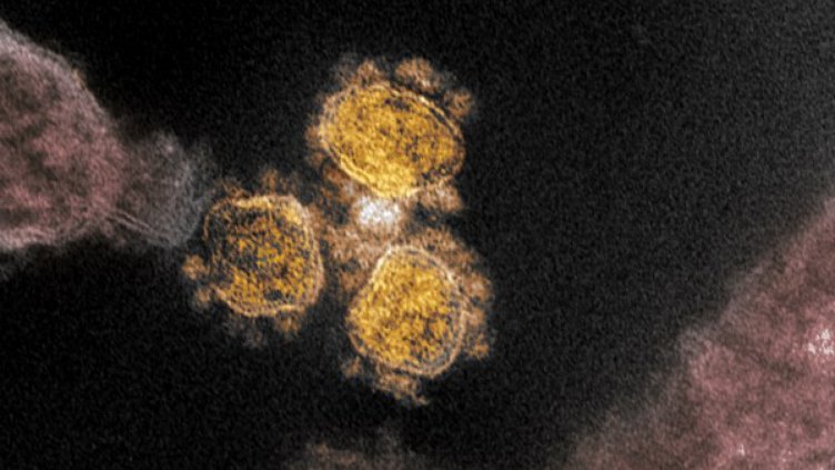 Коронавирусът най-активен при температура от около 4°C