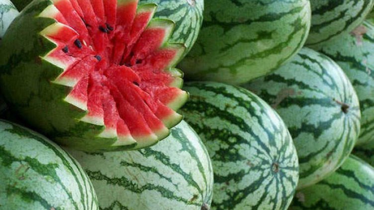 И динята си има празник и той е точно днес!