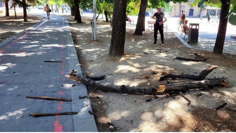 Отново! Клон падна на велоалея, на метри от Община Варна (СНИМКИ)