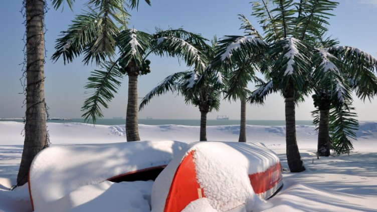 Снимка Пламен Гутинов