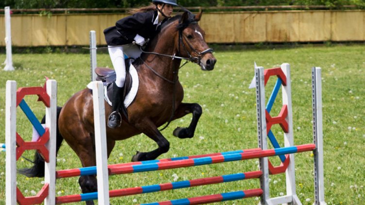 Конната база се наводни