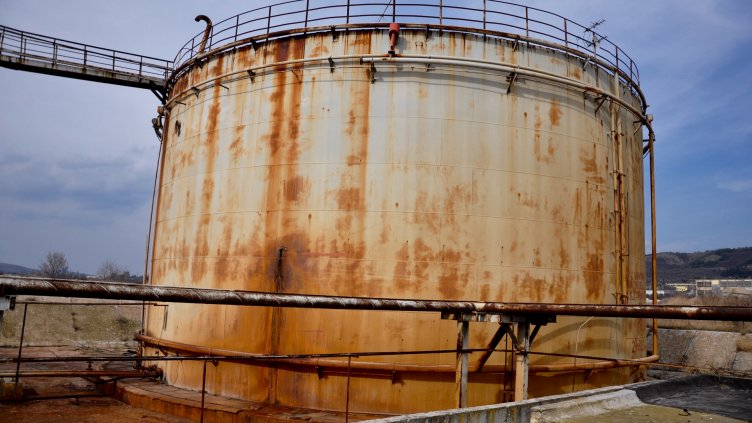 Снимки: Пламен Гутинов