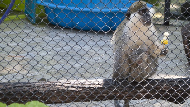 Снимка Ели Маринова