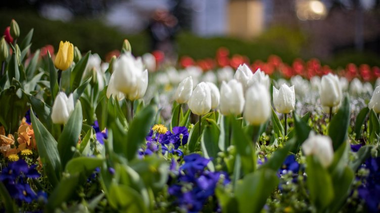 Седмицата започва със слънце и градуси до 34