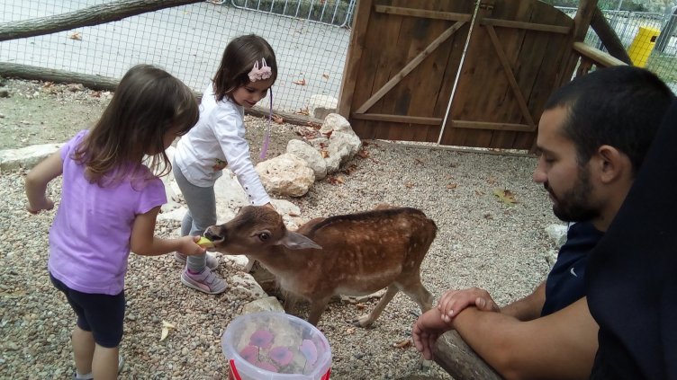 Снимка Полина Петрова