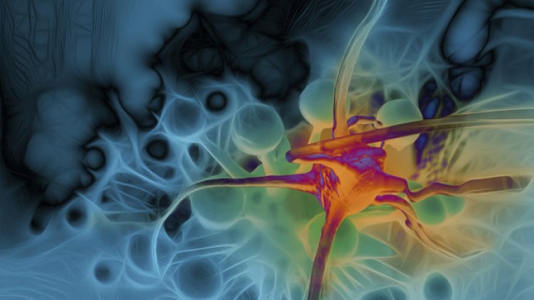 "Майкрософт" иска да победи рака за 10 години