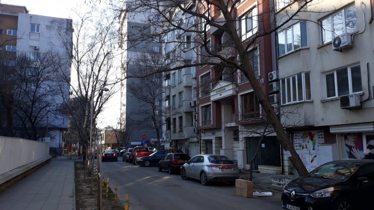Дърво заплашва минувачи на улица "Константин Величков" във Варна