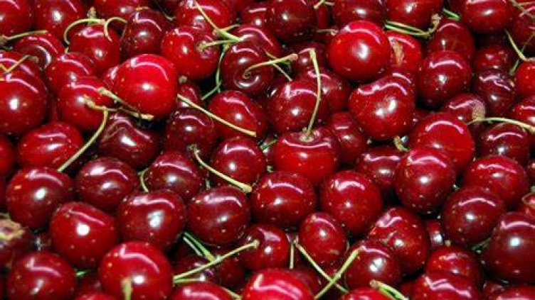 В Бургас черешите подгониха цената на калкана