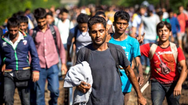 Спипаха 75 нелегални мигранти в София