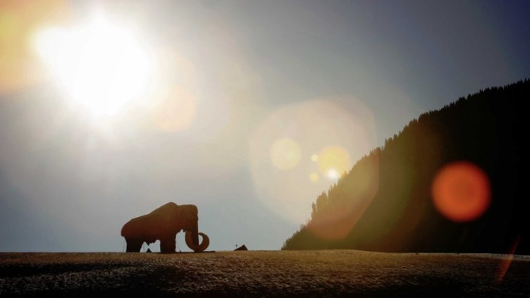 Генетични мутации погубили мамутите