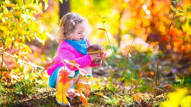 Октомврийско слънце