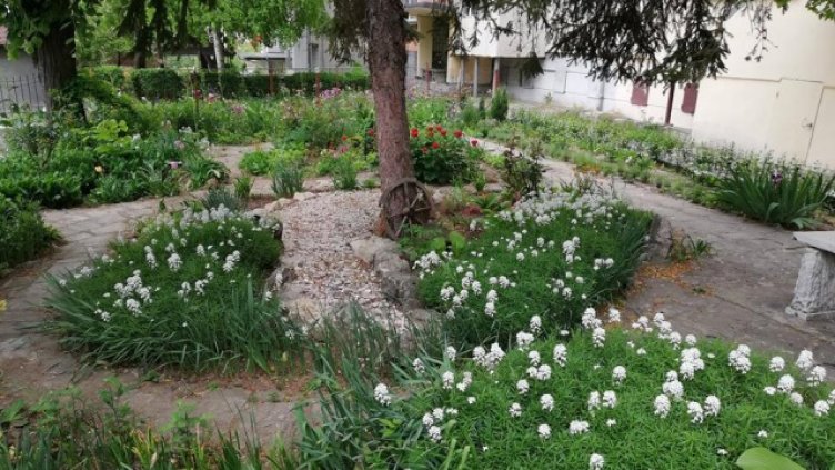 Снимка: Фейсбук; р-н &quot;Одесос&quot;