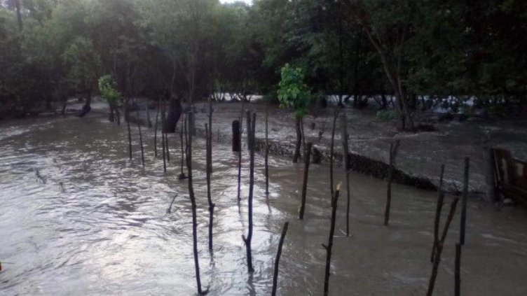 Обявиха частично бедствено положение в община Асеновград
