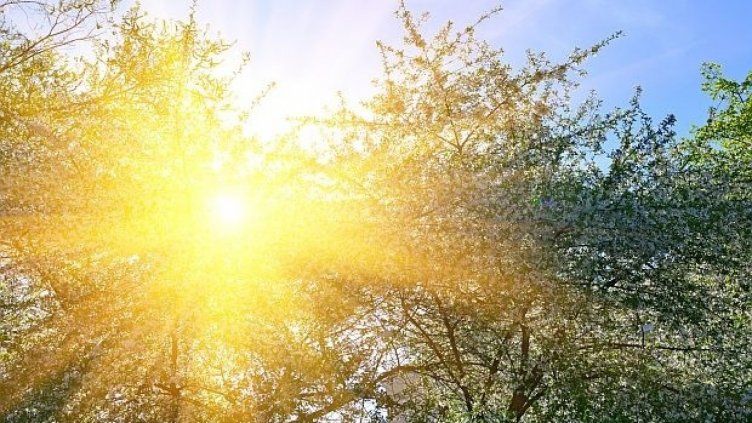 Слънцето се връща утре