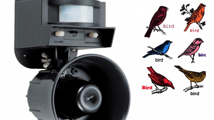 С ултразвук гонят гаргите от центъра на Търговище