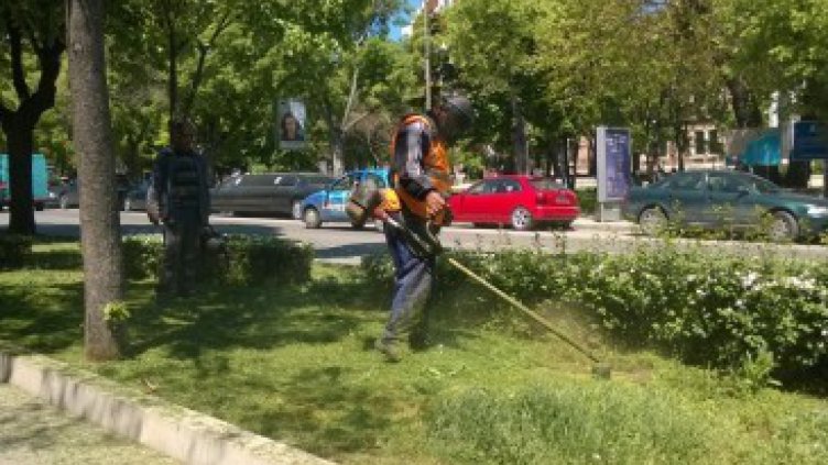 Косенето на зелените площи във Варна продължава