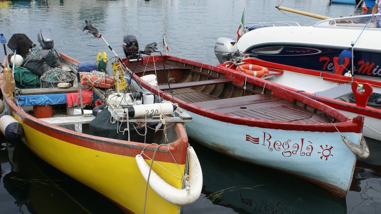 Дирекция „Морско дело и рибарство“ ще бъде управляващ орган на ПМДР