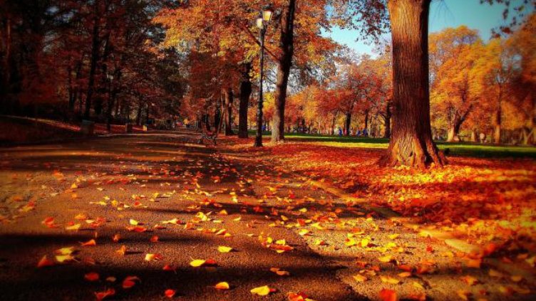 Силен вятър, облачно, но без валежи