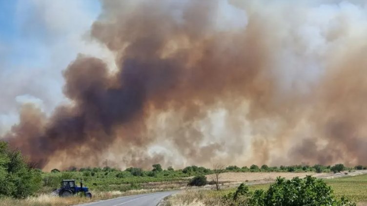 269 пожара са потушени в страната за последното денонощие