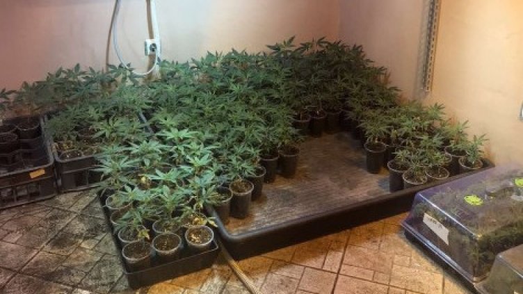 Повдигнаха обвинение на "земеделеца" от Евксиноград