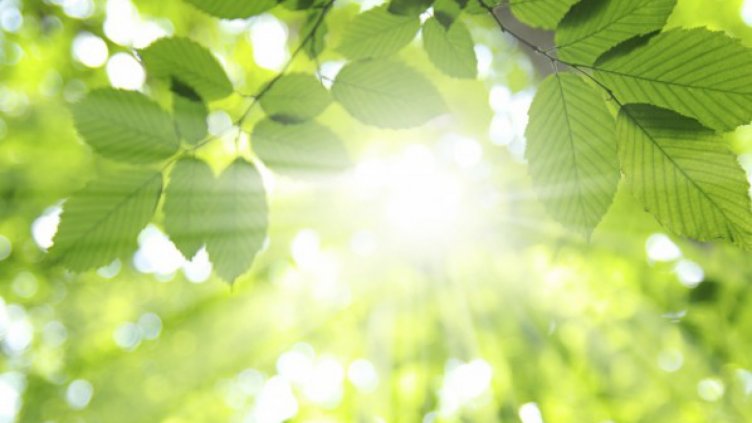 Очаква ни топъл и слънчев петък