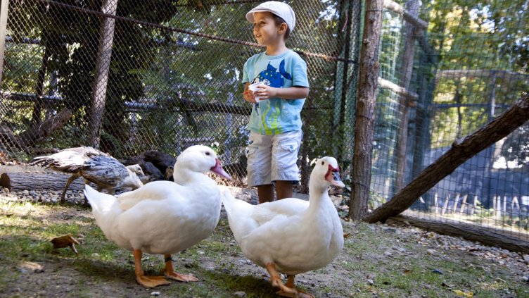 Снимки: Ели Маринова