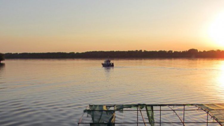 14 иракчани са минали нелегално Дунав