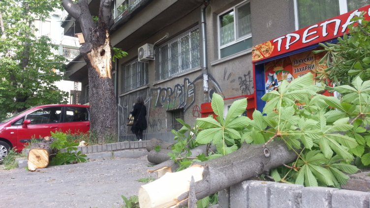 Клон падна във Варна, потроши кола