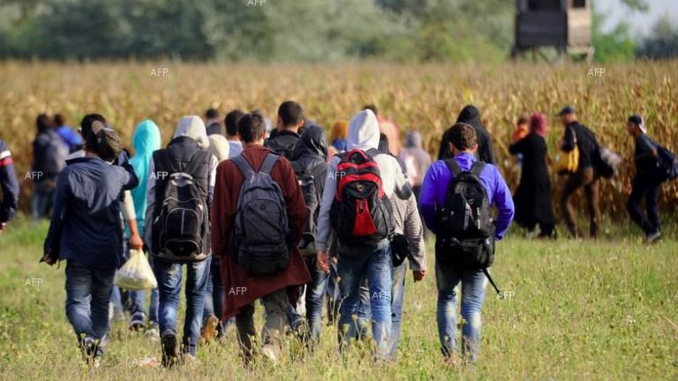 Откриха 20 нелегални мигранти в Кнежа