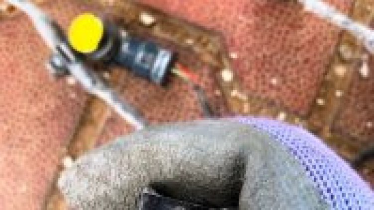 „Пробация“ за варненец, откраднал сензорите за парктроникa на "Ауди А8“ в центъра