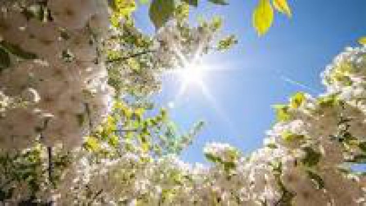 Слънчево и сравнително топло