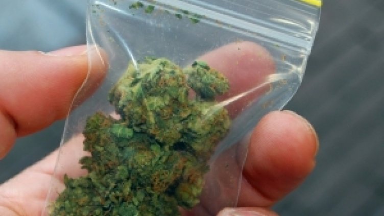 Двама братя се признаха за виновни за притежание на наркотици 