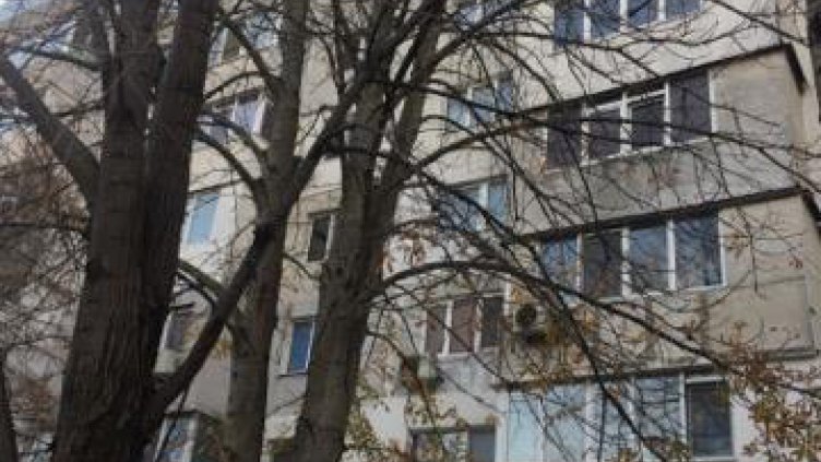 Жители на „Възраждане“ чакат за подкастряне на дърветата пред блока