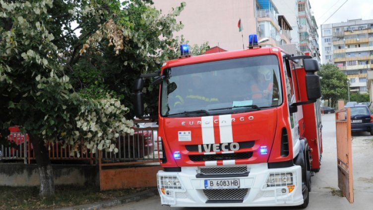 Снимка Пламен Гутинов