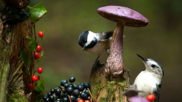 И утре времето по Черноморието ще е облачно 