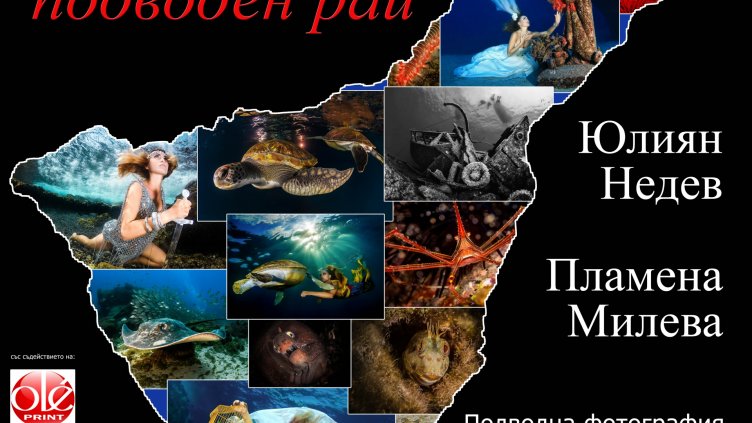 Подводна фотография показва Градска художествена галерия -Варна