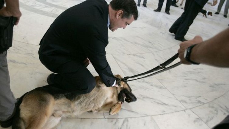 Полицейско куче, убито в акция, бе погребано с почести