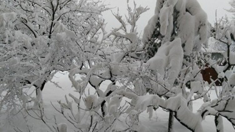 Спасиха бременна жена, затънала с автомобил в преспи до Ивайловград