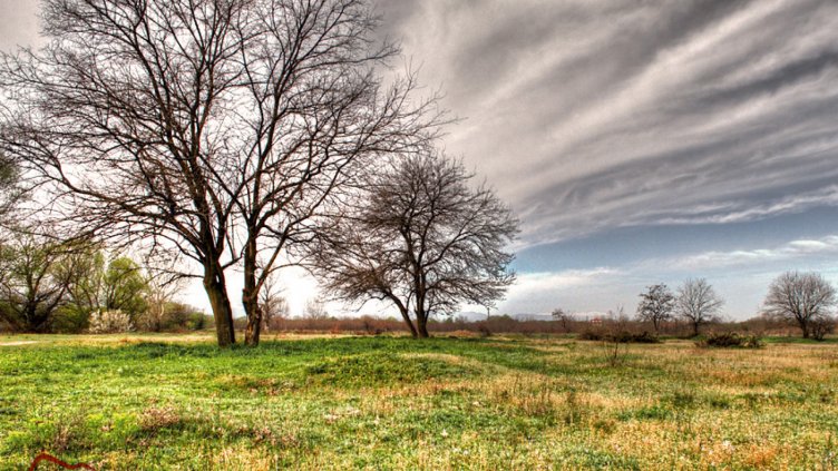 Утре ще е пролет – слънце и до 20 градуса