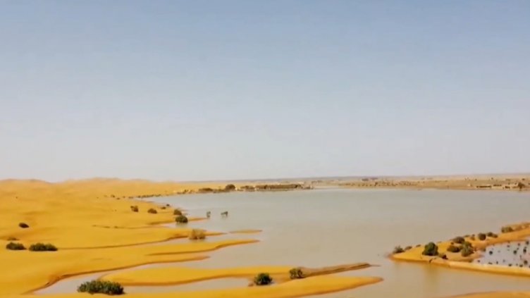Аномалия: Вода блика през пясъчните дюни на Сахара
