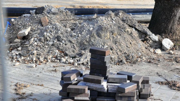 Снимка: Пламен Гутинов