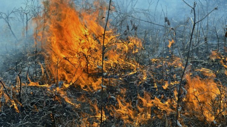 Над хиляда декара сухи треви и храсти е обхванал пожарът край Стара Загора  