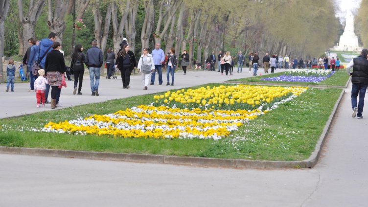 снимка: Ели Маринова