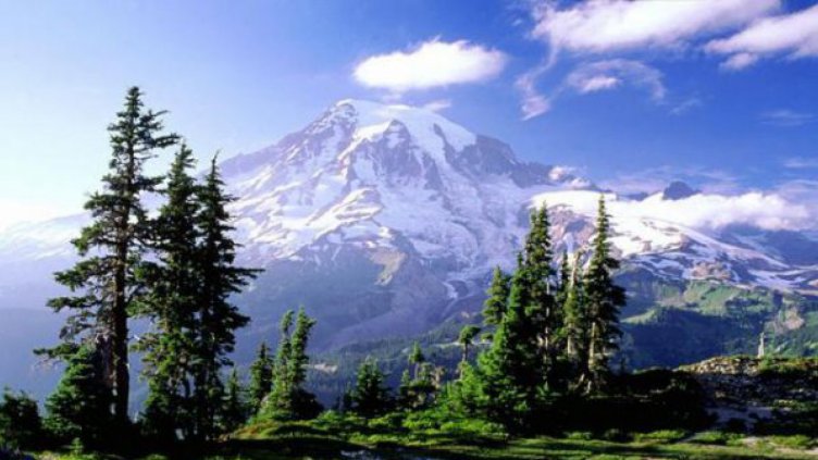 На Националния празник пожертваха Национален парк "Пирин"